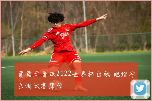 葡萄牙晋级2022世界杯出线 继续冲击淘汰赛席位