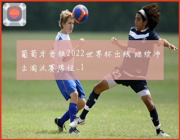 葡萄牙晋级2022世界杯出线 继续冲击淘汰赛席位_1