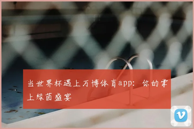 当世界杯遇上万博体育app：你的掌上绿茵盛宴