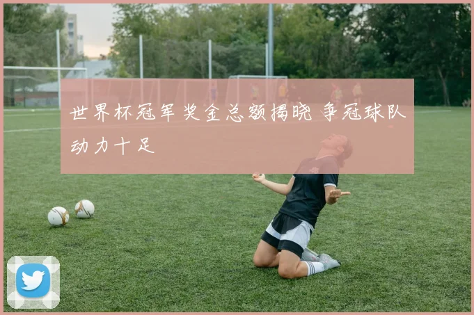 世界杯冠军奖金总额揭晓 争冠球队动力十足