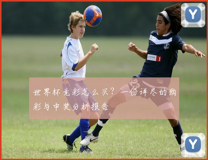 世界杯竞彩怎么买？一份详尽的购彩与中奖分析报告