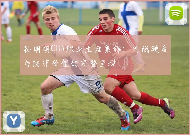 孙明明CBA职业生涯集锦：内线硬度与防守价值的完整呈现