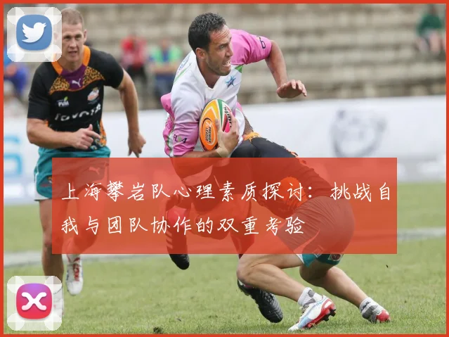 上海攀岩队心理素质探讨:挑战自我与团队协作的双重考验