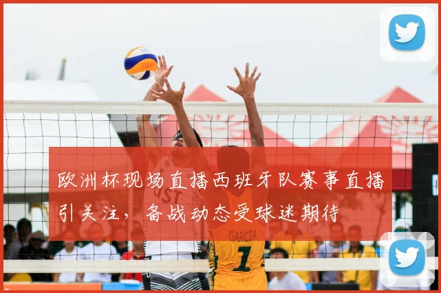 欧洲杯现场直播西班牙队赛事直播引关注，备战动态受球迷期待