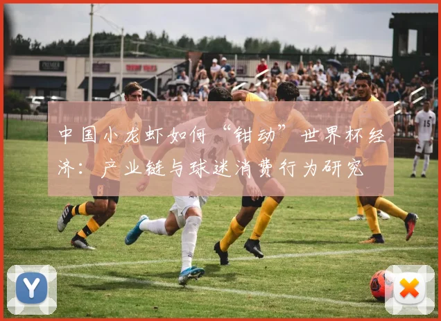 中国小龙虾如何“钳动”世界杯经济：产业链与球迷消费行为研究