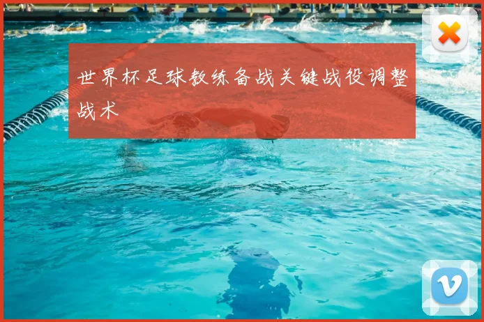 世界杯足球教练备战关键战役调整战术
