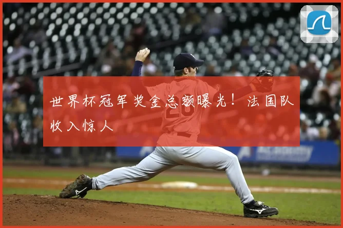 世界杯冠军奖金总额曝光！法国队收入惊人