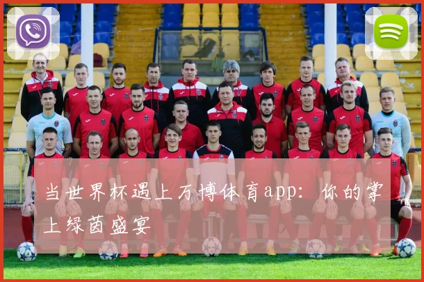 当世界杯遇上万博体育app:你的掌上绿茵盛宴