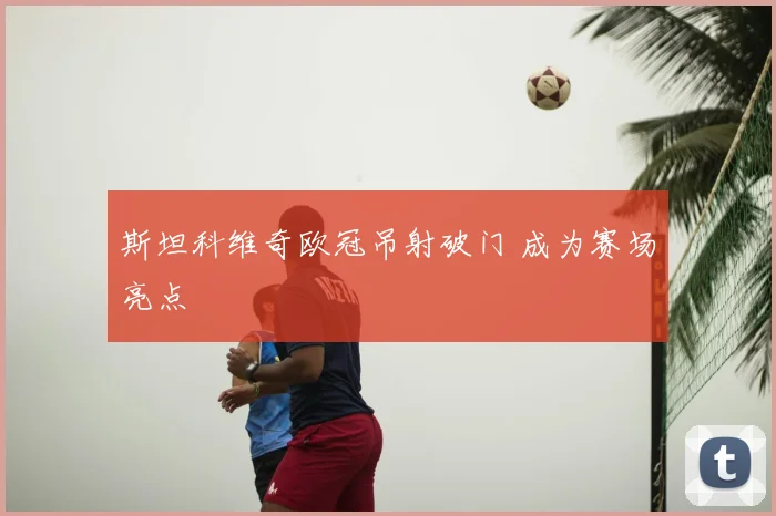 斯坦科维奇欧冠吊射破门 成为赛场亮点