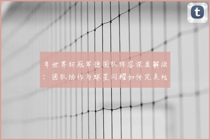 年世界杯冠军德国队阵容深度解读：团队协作与球星闪耀如何完美结合