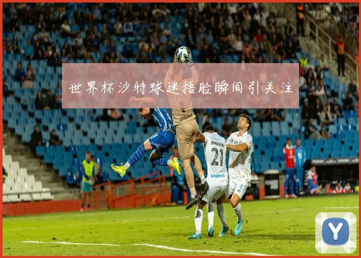 世界杯沙特球迷捂脸瞬间引关注